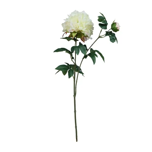 Pivonka - 65 cm GK227-white